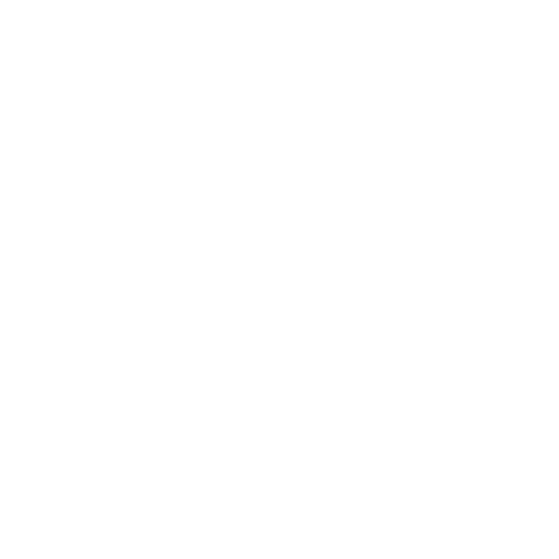 person icon white