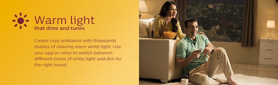Philips WiZ Warm White Lights