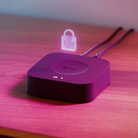 Philips Hue Bridge Pro 3rd Gen (v3.0)
