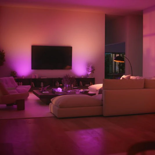 Philips Hue Bridge Pro 3rd Gen (v3.0)