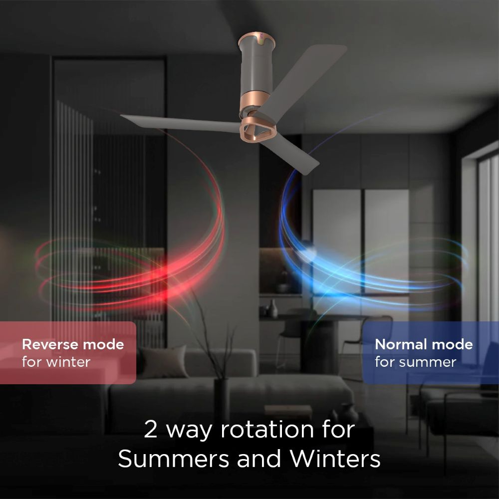 Ecolink AiroElevate Smart BLDC Ceiling Fan | WiFi + RF Remote | 1200mm, 35W, 230CMM, 370RPM | Philips WiZ Connected | App & Voice Control 11 Ecolink AiroElevate Smart BLDC Ceiling Fan | WiFi + RF Remote | 1200mm, 35W, 230CMM, 370RPM | Philips WiZ Connected